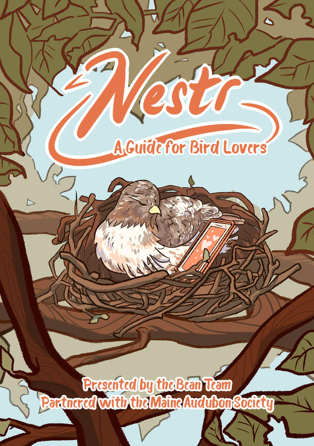 Nestr - front (2019)